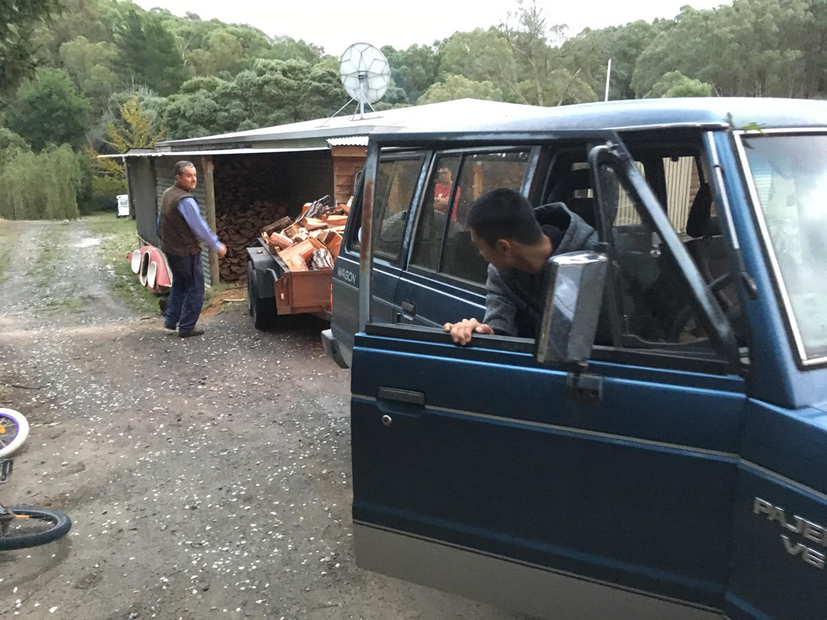 Cutting Wood 3 伐木趣